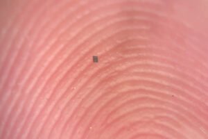 World’s Smallest Programmable Autonomous Robots Can Swim, Sense, and Think