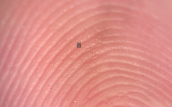 World’s Smallest Programmable Autonomous Robots Can Swim, Sense, and Think