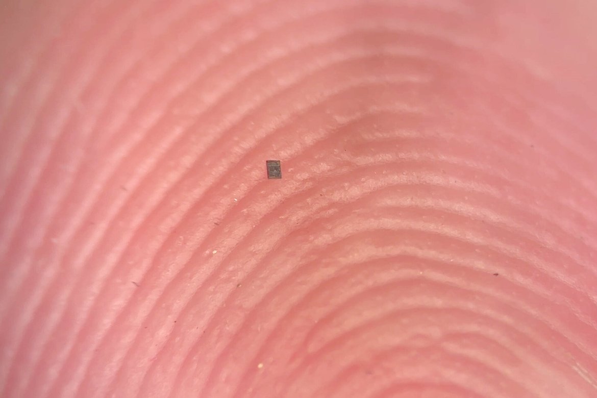 World’s Smallest Programmable Autonomous Robots Can Swim, Sense, and Think