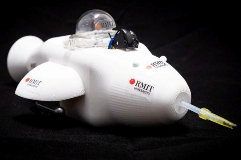 RMIT Engineers Build Dolphin Inspired Robot for Oil Spill Cleanup
