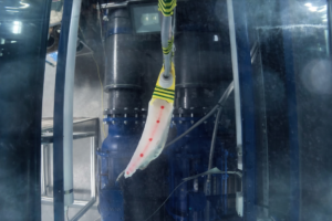 University of Southampton Develops Adaptive Robot Fin for Underwater Stability