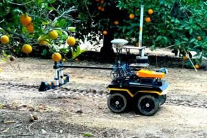 Irrigation Robot Maps Water Needs Tree by Tree, Challenging Farm Automation Norms