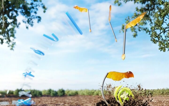 Penn Engineers Build Millimeter-Scale Jumping Robots from Knotted Fibers That Plant Seeds
