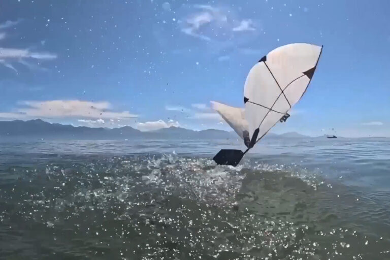 MIT and EPFL Develop Flapping-Wing Robot That Swims Underwater and Transitions to Flight Without Paddling