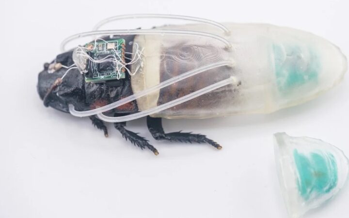 NTU Singapore Develops Diving Suit for Cyborg Cockroaches, Deployed in Myanmar Earthquake Response