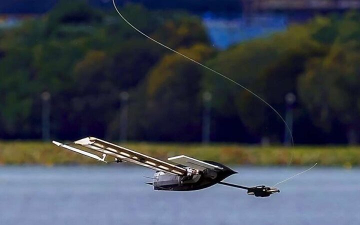 ALBATROSS Robot Falls Like a Maple Seed, Then Sails Autonomously