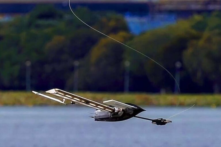 ALBATROSS Robot Falls Like a Maple Seed, Then Sails Autonomously