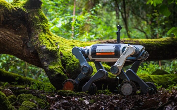 DEEP Robotics’ Lynx M20S Carries Gear and Films Wildlife in Ailao Expedition