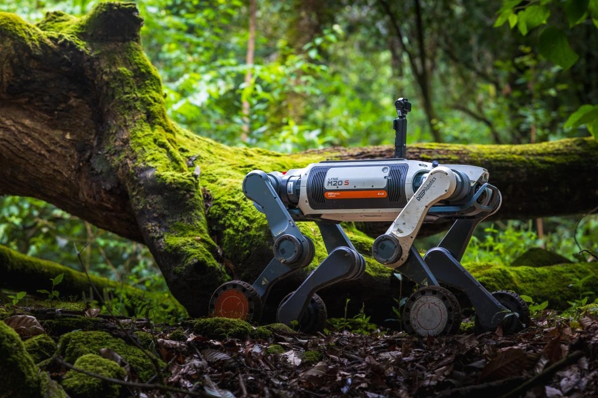 DEEP Robotics’ Lynx M20S Carries Gear and Films Wildlife in Ailao Expedition