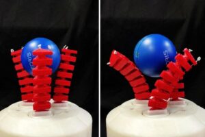 Soft Robotic Gripper Turns Objects Without Letting Go